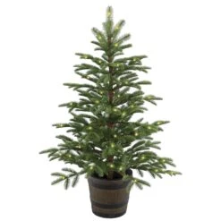 4 Ft. Norwegian Spruce Entrance Tree With Clear Lights
