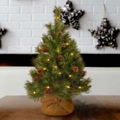 3 Ft.Pre-Lit Pine Cone Tree With LED Lights -Christmas Trees Sales website images 4 0017s 0002 PC3 3BP B 1 2
