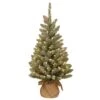 3 Ft. Pre-Lit Snowy Concolor Fir Tree With LED Lights