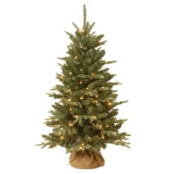 4 Ft. Pre-Lit Everyday Collection Tree With Clear Lights -Christmas Trees Sales website images 4 0024s 0000 ED3 300 40r