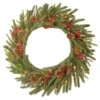 24 In. Pre-Lit Dorchester Fir Wreath With LED Lights