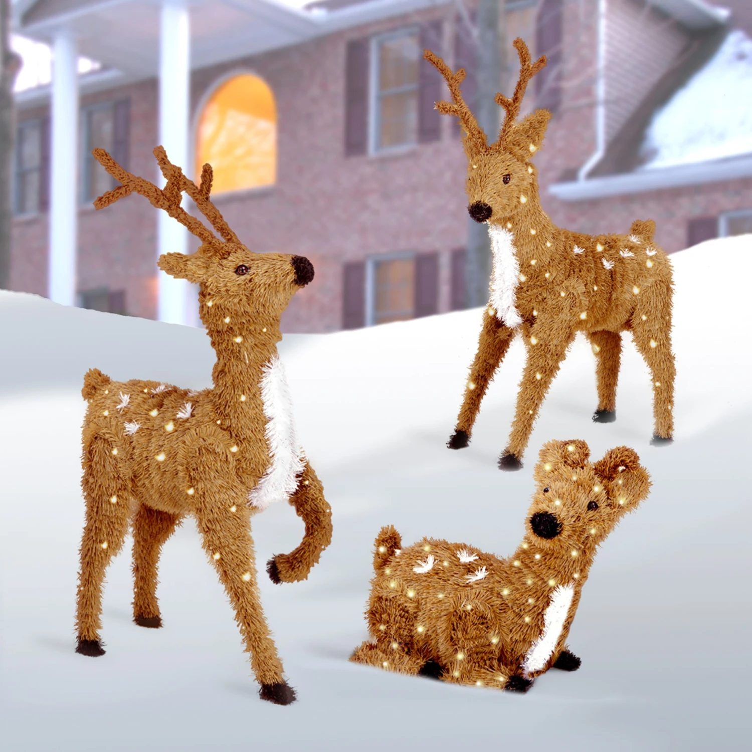 24 In. Resting Reindeer With Clear Lights 2 24 In. Resting Reindeer With Clear Lights - Image 2